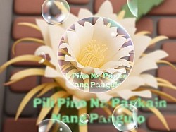 Dragonfruit Logo